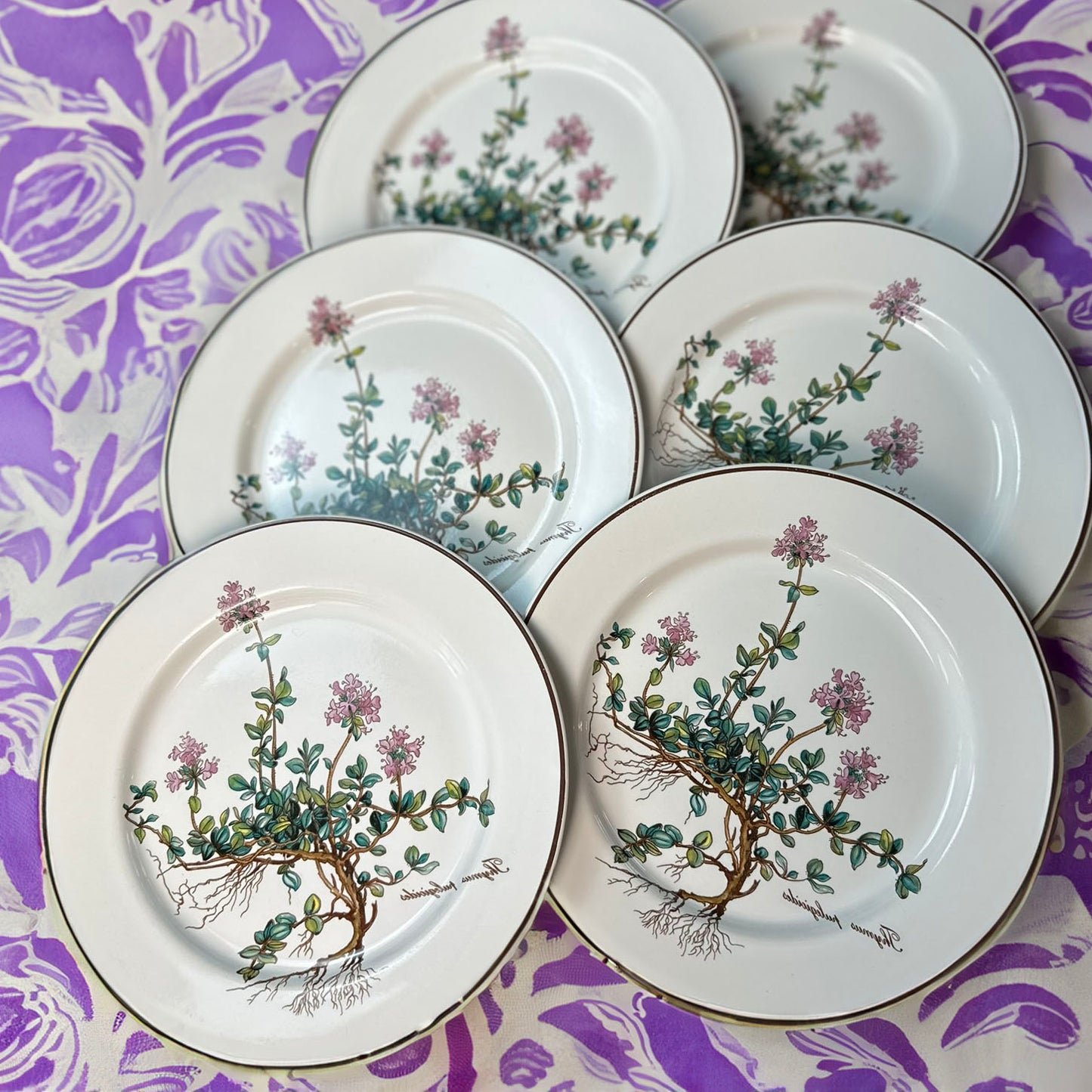 Set van 6 dessertbordjes - Villeroy & Boch 'Botanica' - Preloved