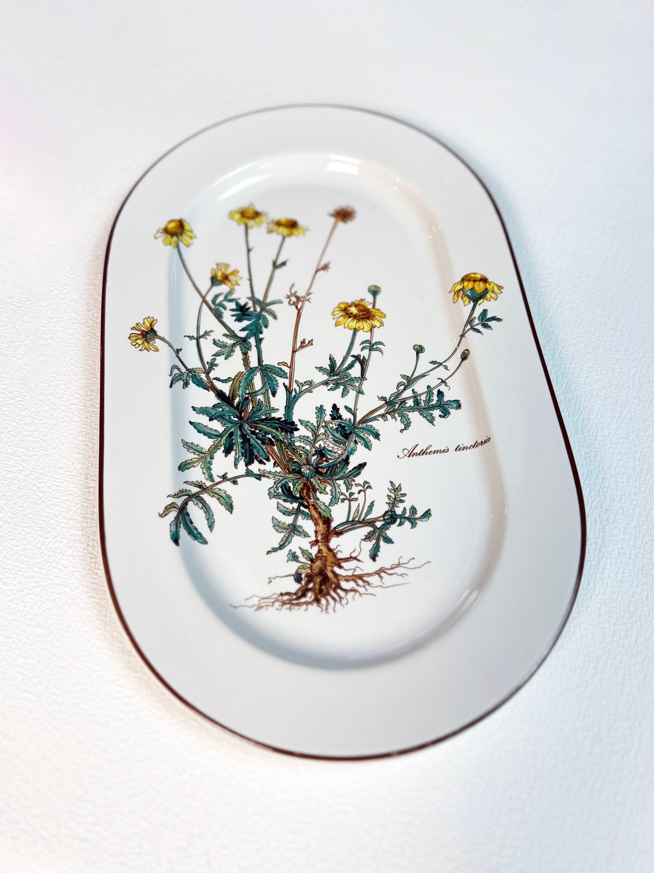 Grote serveerschaal - Villeroy & Boch 'Botanica' - Preloved